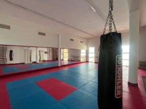 WhatsApp Image 2026 02 24 at 12.36.341