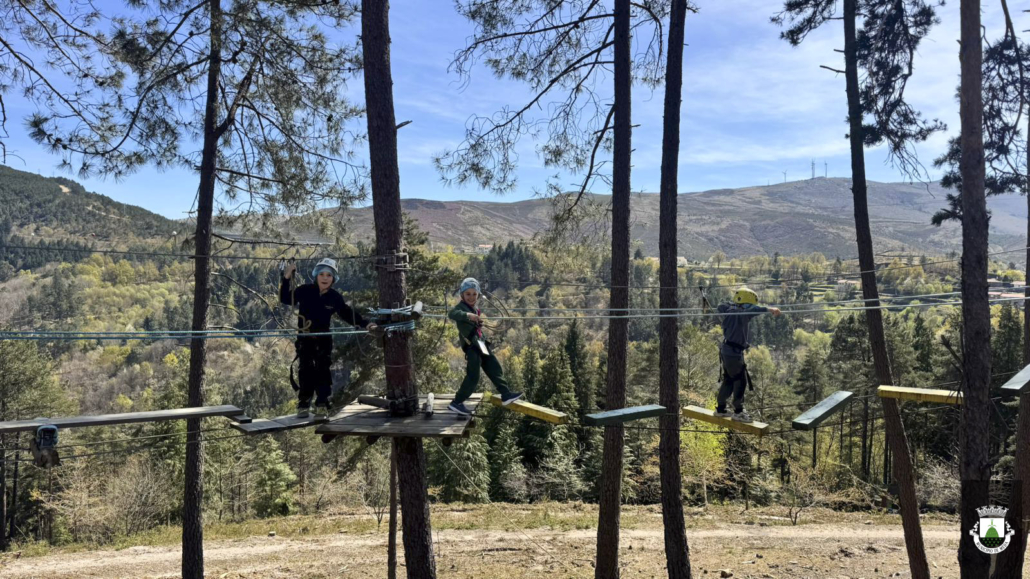 FÉrias Desportivas (3) FÉrias Desportivas (3)