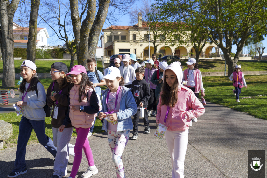 FÉrias Desportivas (7) FÉrias Desportivas (7)