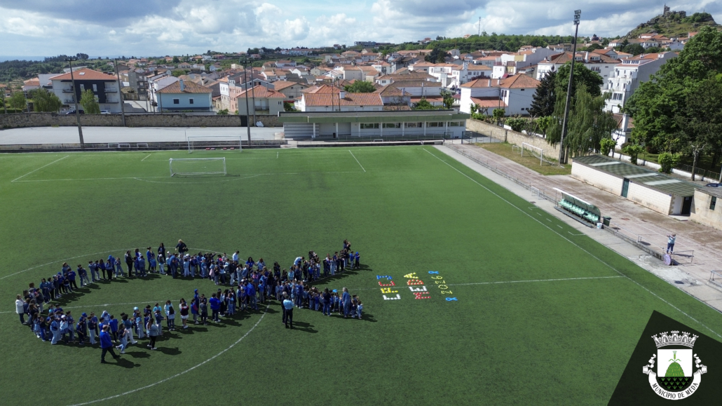 Laço Cpcj 11