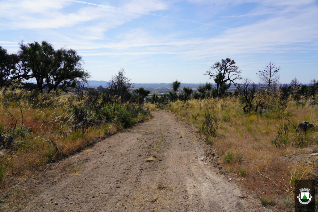 Caminhos (11)