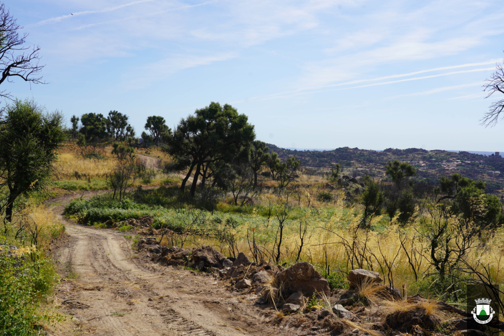 Caminhos (13)