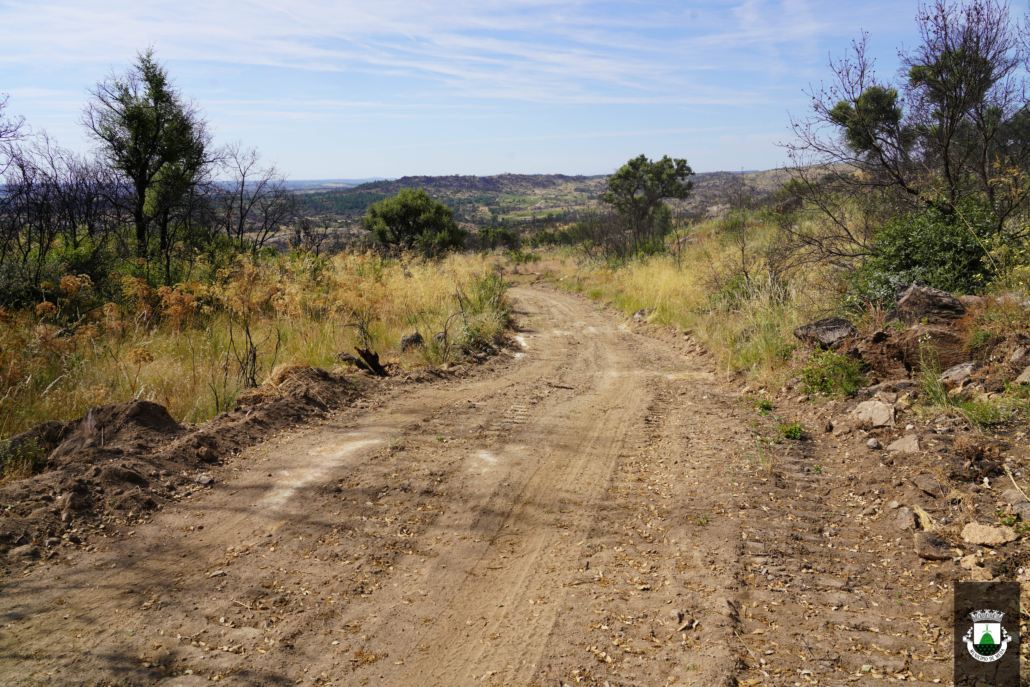 Caminhos (14)