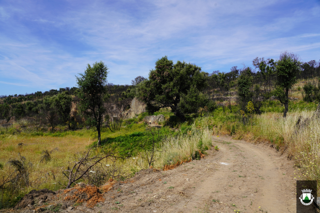 Caminhos (15)