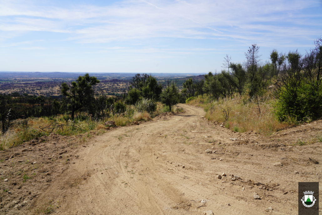 Caminhos (16)