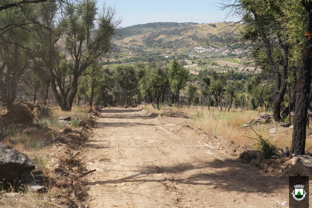 Caminhos (18)
