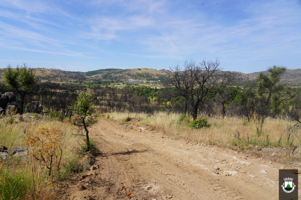 Caminhos (19)