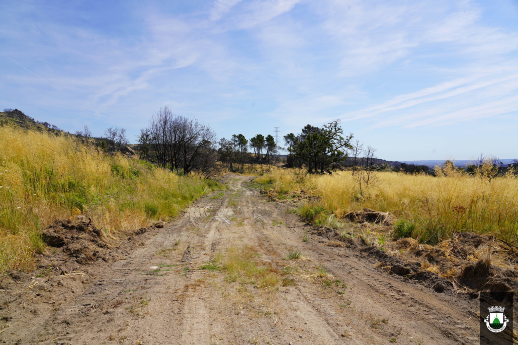 Caminhos (21)