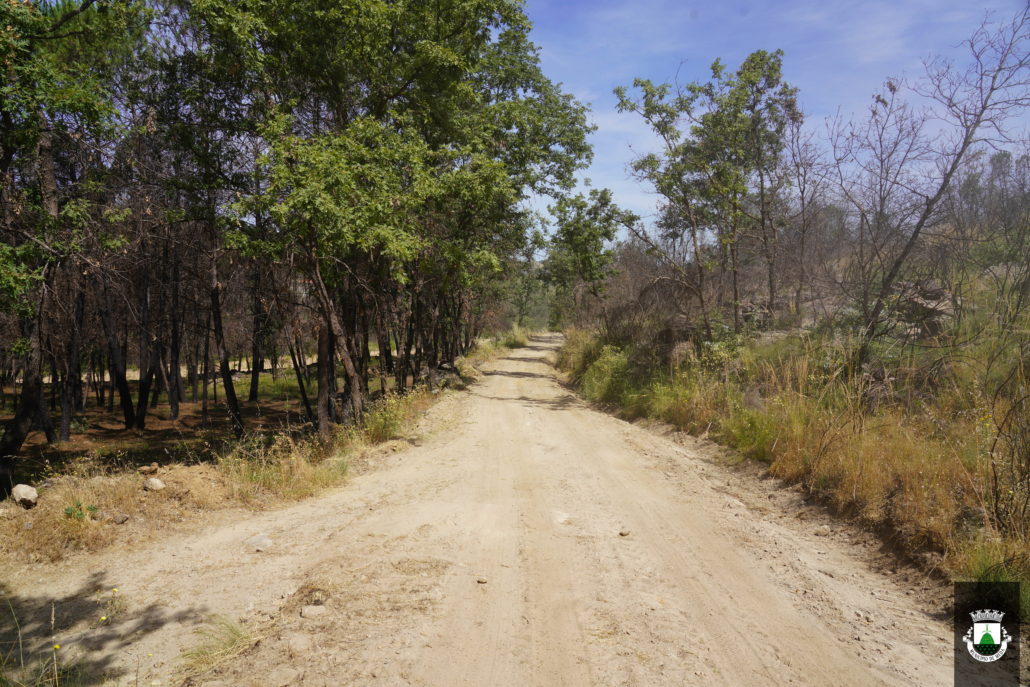 Caminhos (25)