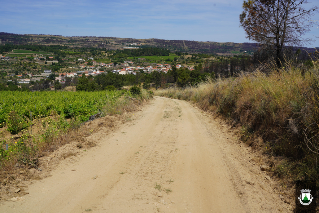 Caminhos (26)