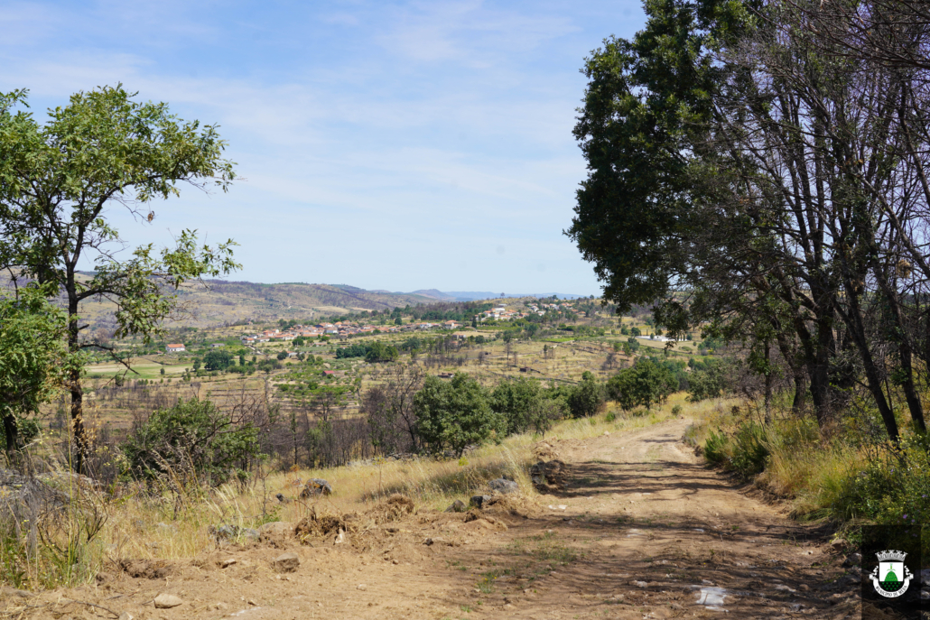 Caminhos (27)