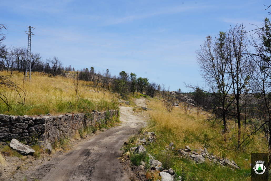 Caminhos (28)