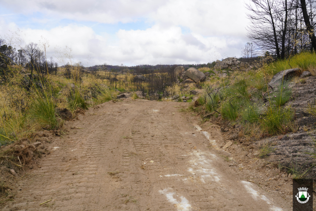 Caminhos (32)