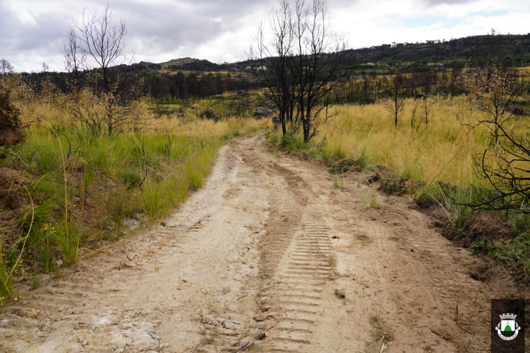 Caminhos (38)