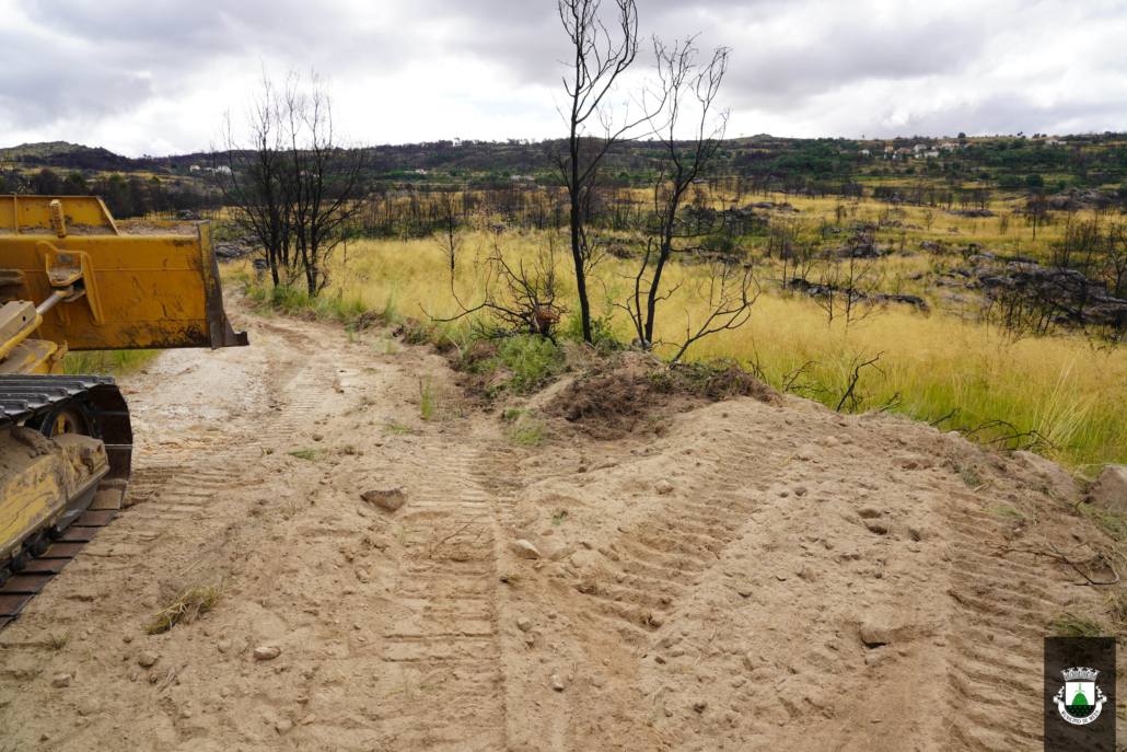 Caminhos (39)