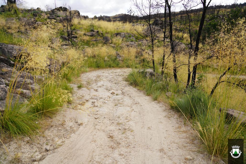 Caminhos (43)