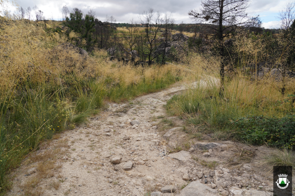 Caminhos (44)