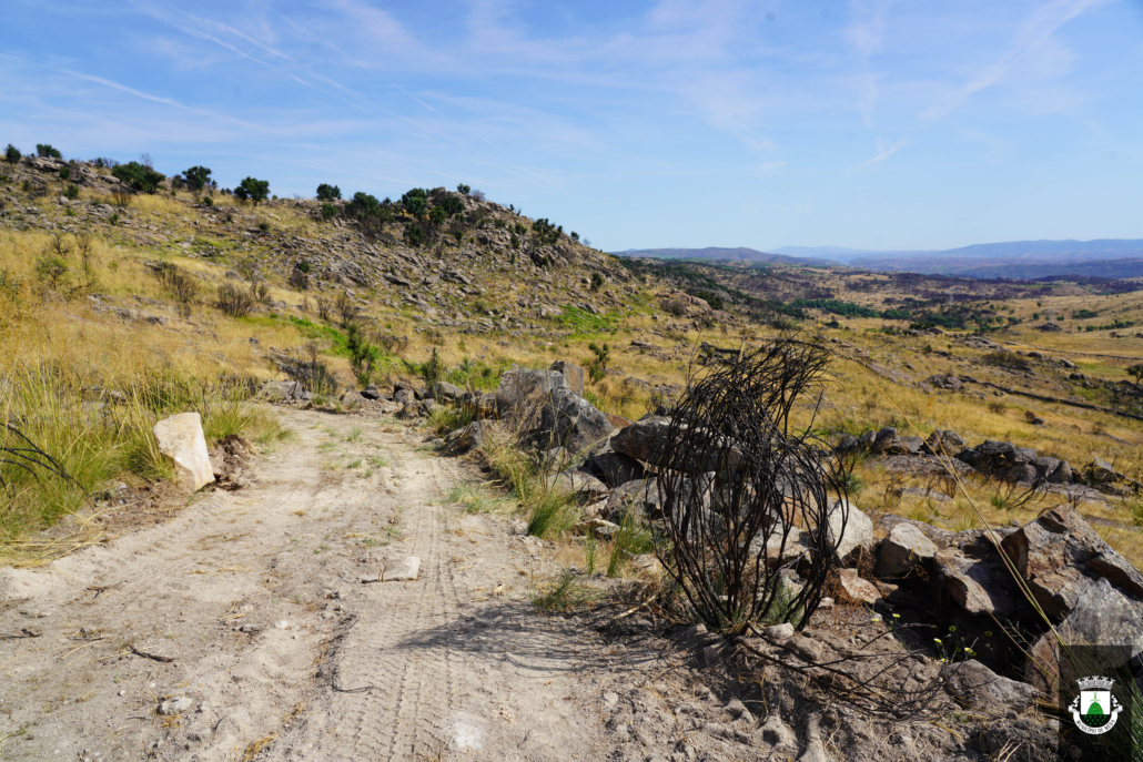Caminhos (5)