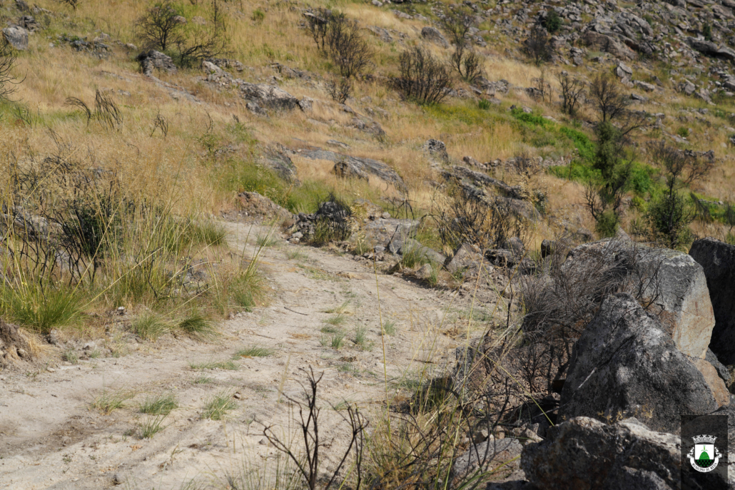 Caminhos (7)