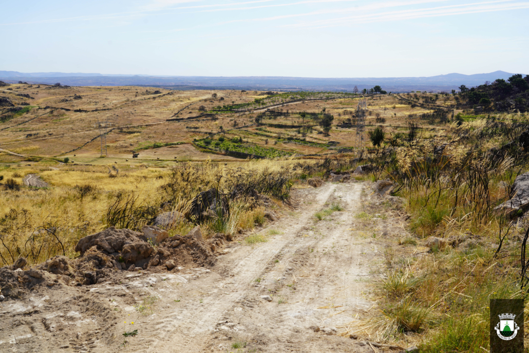 Caminhos (8)