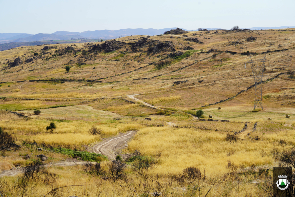 Caminhos (9)