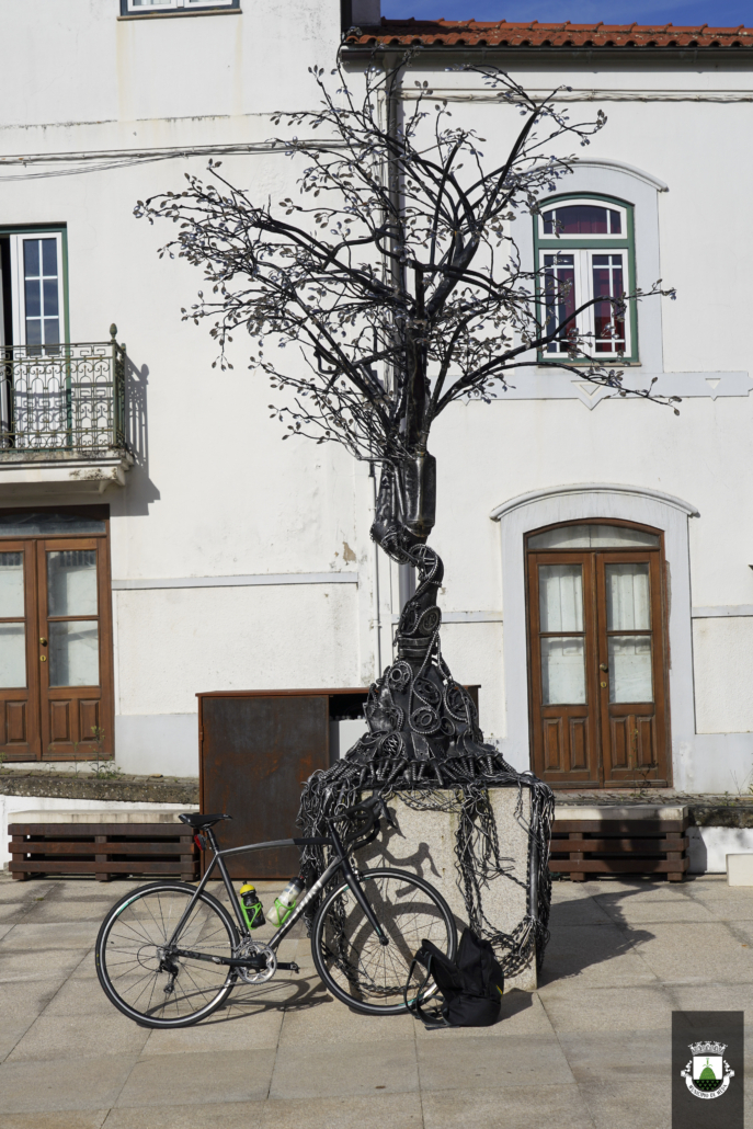 PeregrinaÇÃo Ciclismo FÁtima (13)
