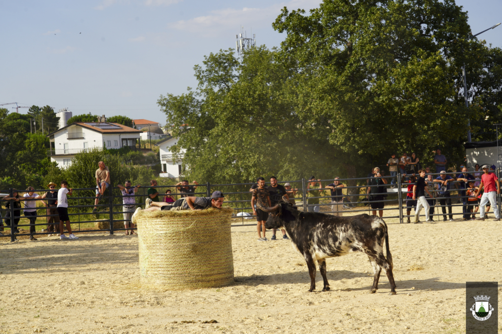 V Feira Mundo Rural 3