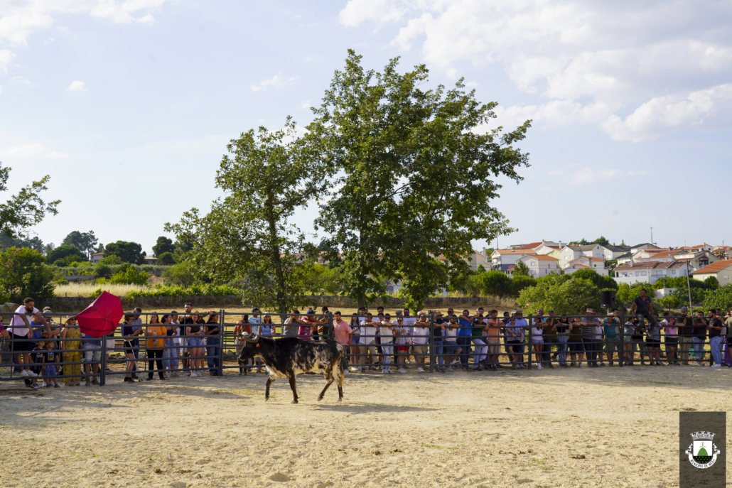 V Feira Mundo Rural 4