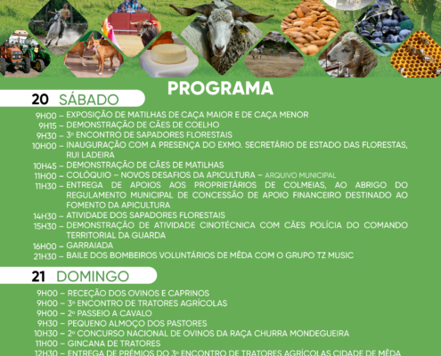 Cartaz F