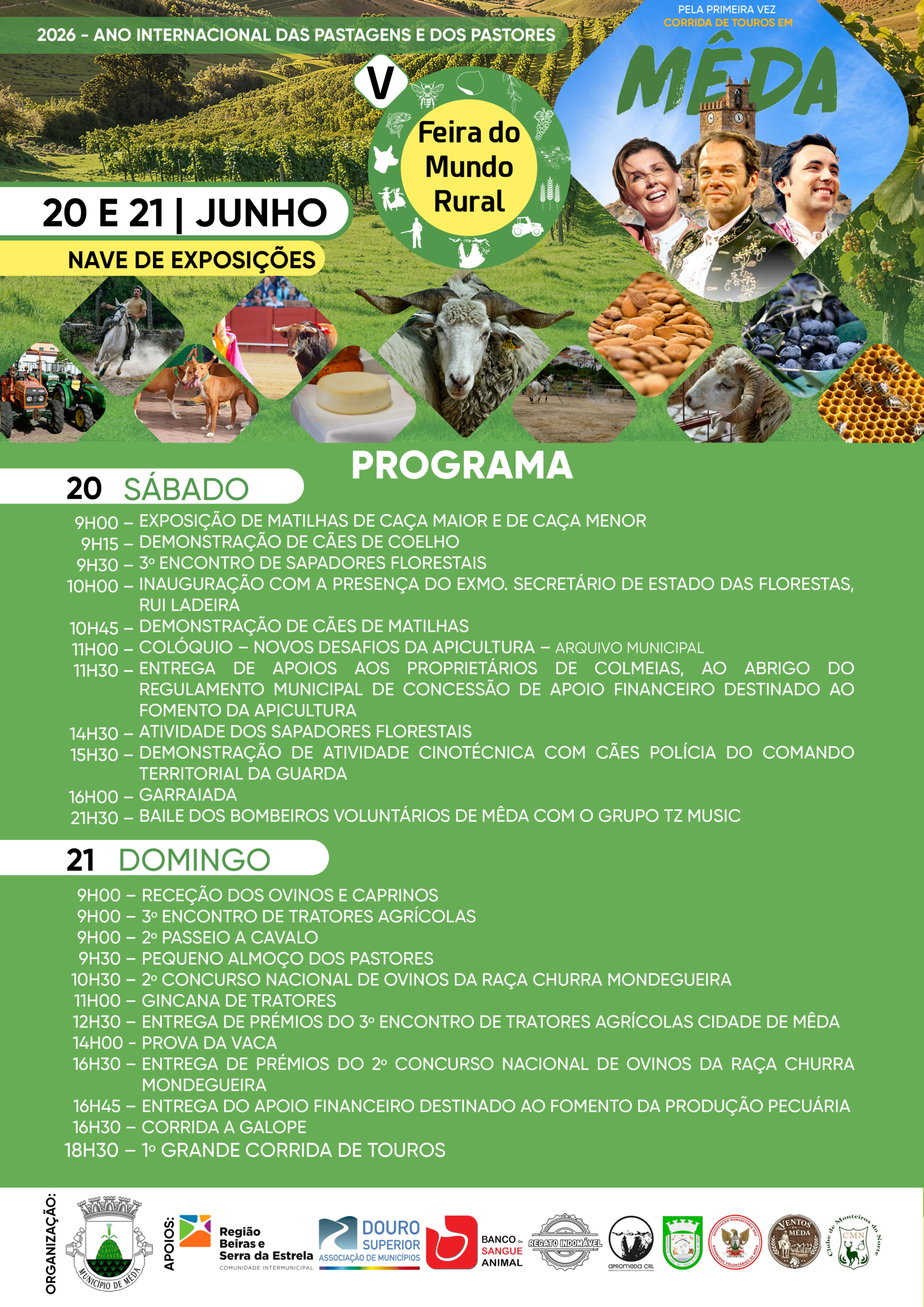 Cartaz F
