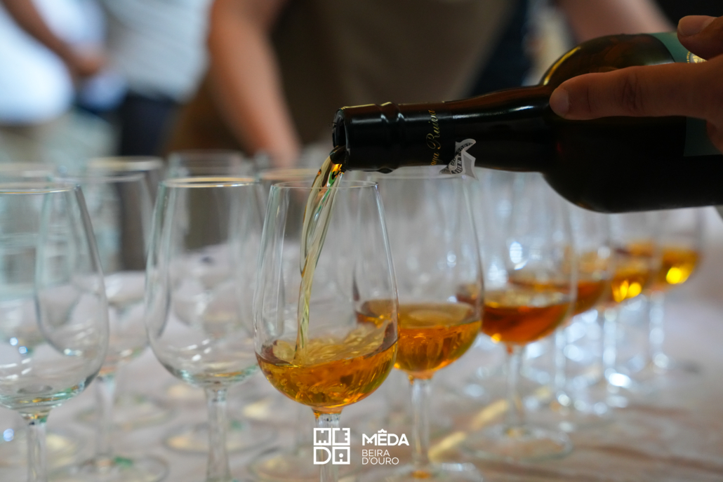 HÁ Beira & Douro (11)
