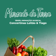 Mercadodaterra 2026 Copiar